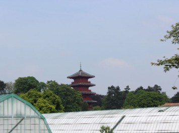 Japanese Tower